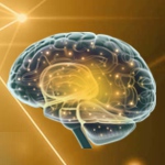 ОСЕННЯЯ ШКОЛА НЕВРОЛОГА